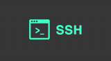 حذف دستورات اجرا شده در محیط SSH