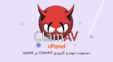 دستورات مهم و کاربردی ClamAV در cpanel